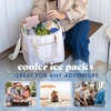 image:imageCool Coolers by Fit amp Fresh 4 Pack XL Slim Ice Packs Quick Freeze Space Saving Reusable Ice Packs for Lunch Boxes or CoolersMulti Pastel 4 Pack