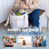 image:imageCool Coolers by Fit amp Fresh 4 Pack XL Slim Ice Packs Quick Freeze Space Saving Reusable Ice Packs for Lunch Boxes or CoolersTaupe 4 Pack