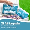 image:imageCool Coolers by Fit amp Fresh XL High Performance Cooler Ice Packs 2pk  Puncture Resistant NonToxic Quick Freeze LongLasting Chill Lunch Box Ice Packs XL Freezer Pack Flexible Gel Ice PacksTeal 2 Pack
