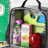 image:imageFit amp Fresh Cool Coolers Reusable Kids Lunch Box Ice Packs 4pk  Shaped Character Ice Packs for Kids Slim Design for Lunch Bags amp Coolers Quick Freeze BPAFree Pink BowsMulticolor Dinosaur