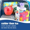 image:imageFit amp Fresh Cool Coolers Soft Ice Packs for Lunch Bags amp Coolers 2pk  LongLasting Reusable Ice Packs Flexible BPAFree Freezer Packs for Lunch Boxes Work School Breastmilk amp TravelGummy Bears 2 Pack
