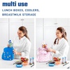 image:imageFit amp Fresh Cool Coolers Soft Ice Packs for Lunch Bags amp Coolers 2pk  LongLasting Reusable Ice Packs Flexible BPAFree Freezer Packs for Lunch Boxes Work School Breastmilk amp TravelGummy Bears 2 Pack