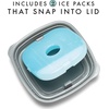 image:imageFit amp Fresh Small Plastic Containers With Lids 16 oz Small Snack Containers With Lids For Adults and Kids Reusable Leakproof Dressing and Condiment Containers With Two Attachable Ice Packs 4PK Light1 Cup