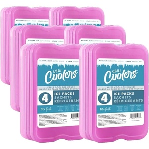 image:imageCool Coolers by Fit amp Fresh 4 Pack XL Slim Ice Packs Quick Freeze Space Saving Reusable Ice Packs for Lunch Boxes or CoolersPurple 8 PK