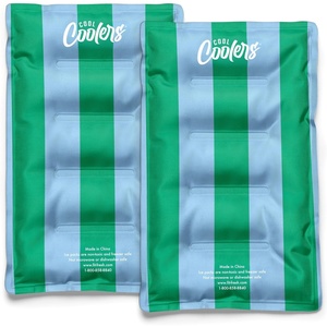 image:imageCool Coolers by Fit amp Fresh XL Soft Ice Packs for Coolers amp Lunch Bags 2pk  LongLasting Large Reusable Freezer Packs BPAFree Flexible Lunch Box Ice Packs for Work School Breastmilk amp BeachGreen Blue Stripe