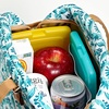 image:imageCool Coolers by Fit  Fresh 4 Pack Slim Ice Packs Space Saving Reusable Ice Packs for Lunch Boxes or CoolersMulti Color 4 Pack