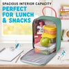 image:imageFit amp Fresh Connor Insulated Kids Lunch Box for School amp Daycare  Easy Carry Handle Front Zip Pocket BPAFree EasytoClean  Kids Lunch Bag Back to School Preschool KindergartenSeafoam Green