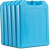image:imageFit amp Fresh Cool Coolers 5pk Days of the Week Ice BlocksSmall Block Pack of 6