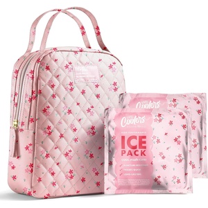 image:imageFit amp Fresh Insulated Bottle amp Beyond Bag  Baby Bottle Cooler wIce PacksPink Dainty Floral